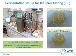 Test report for Lactic acid fermentation 2