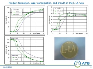 Test report for Lactic acid fermentation 3