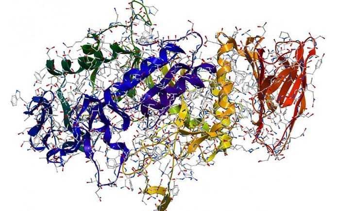 Ứng dụng của enzyme thủy phân